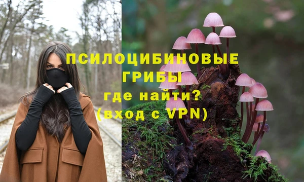 прущие крисы Алзамай