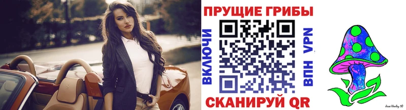 купить наркотик  Ливны  Псилоцибиновые грибы Psilocybe 